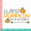 Pumpkin Patch Bundle