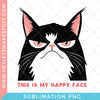 Sarcastic Cat Bundle Sublimation