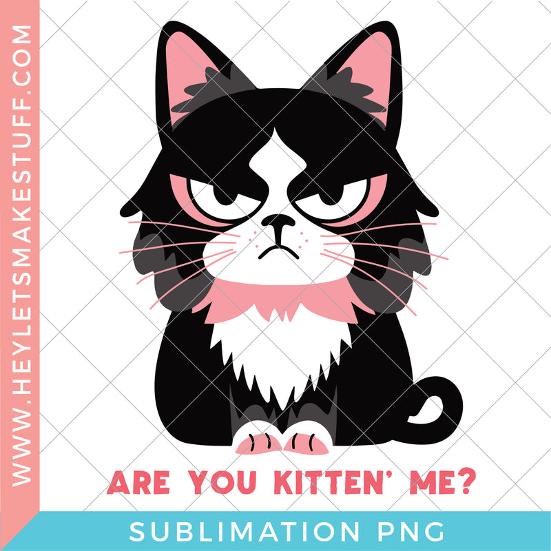 Sarcastic Cat Are You Kitten Me - Sublimation