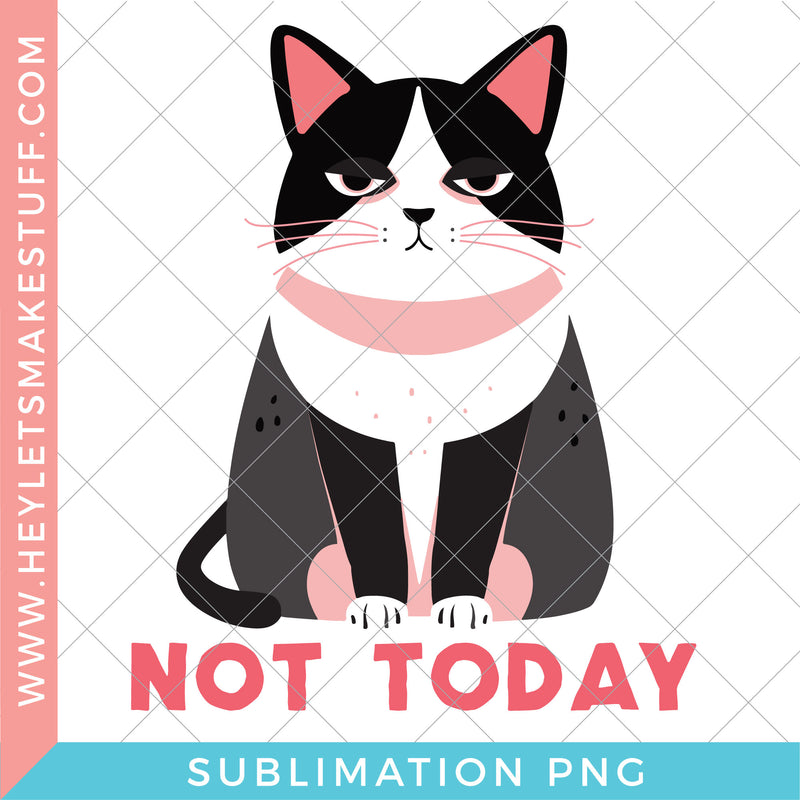 Sarcastic Not Today Cat - Sublimation