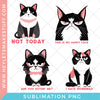 Sarcastic Cat Bundle Sublimation