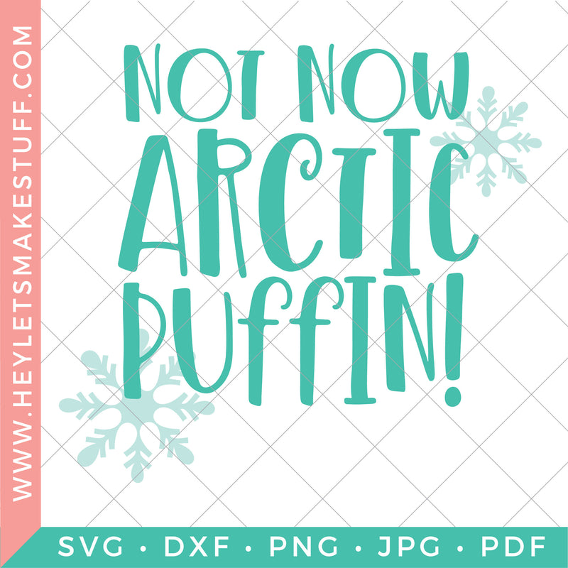 Not Now Arctic Puffin!