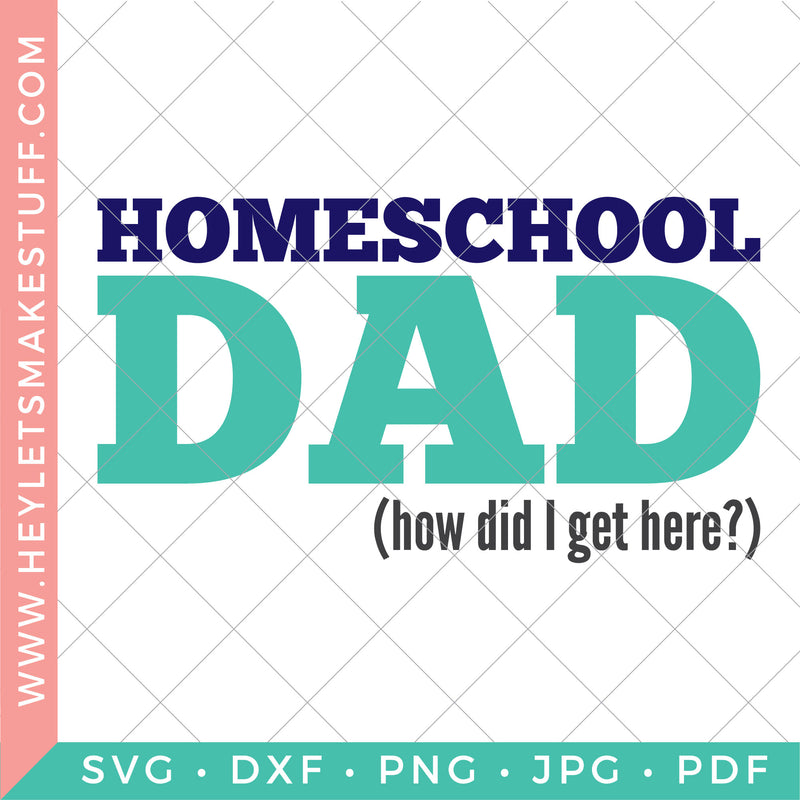 Homeschool Dad (How Did I Get Here?)