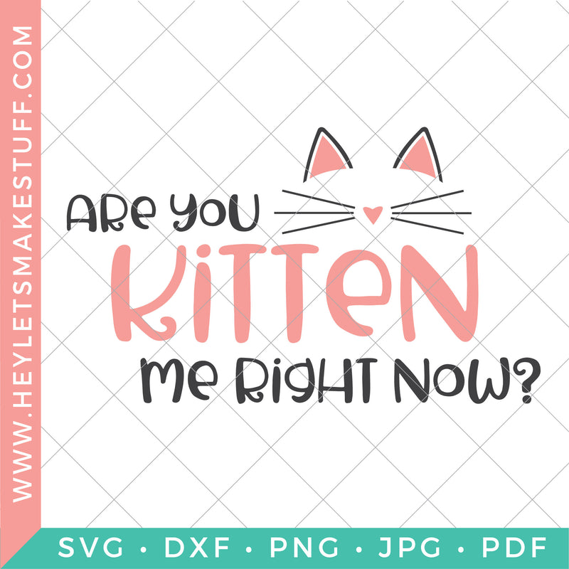 Are you Kitten Me Right Now?